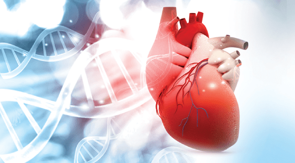 360' Overview of the Heart with Cardiac MRI