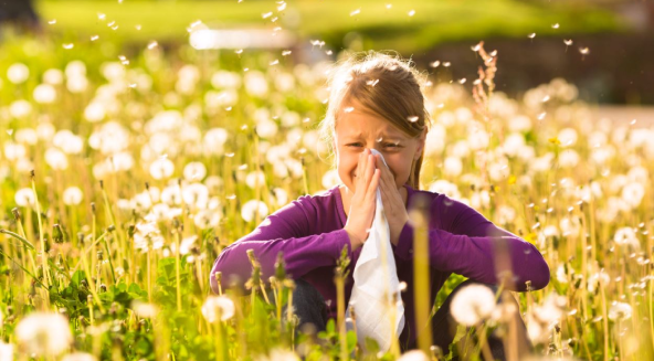 The Essential Guide to Managing Spring Allergy in Children