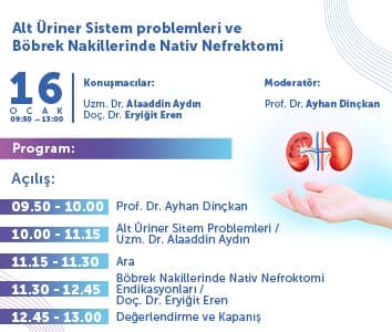 Lower Urinary Tract Problems and Kidney Transplantation