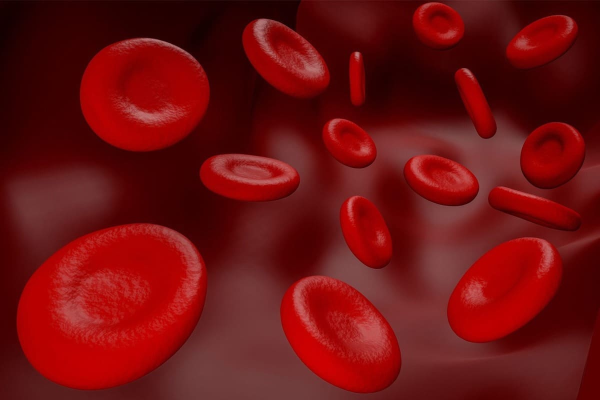 Speed of Results: How Quickly Does IV Iron Increase Hemoglobin? liquid iv