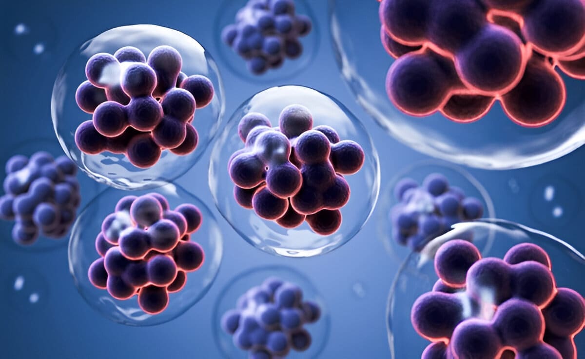 Microscopic view of stem cells with glowing edges inside transparent spheres.
