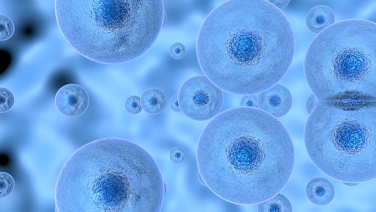 totipotent and pluripotent