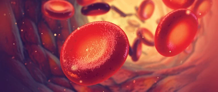 Mediterranean Anemia : Key Facts 1 Mediterranean Anemia -Thalassemia-