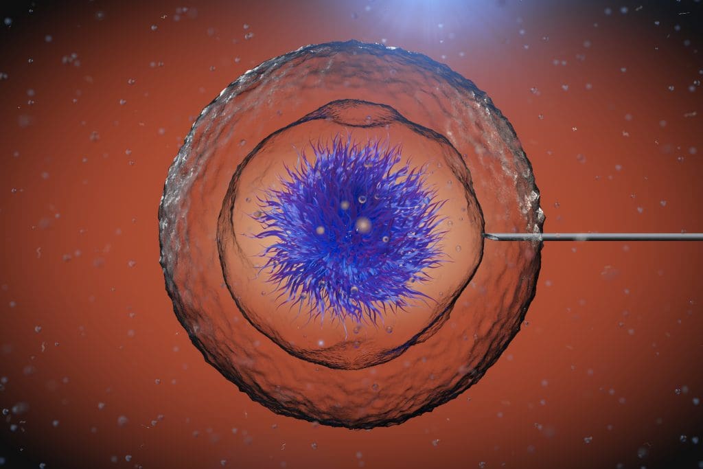 Stem Cell Treatment: Understanding the Controversies 1 abstract human cell with tube needle microscope extreme closeup 3d rendering LIV Hospital