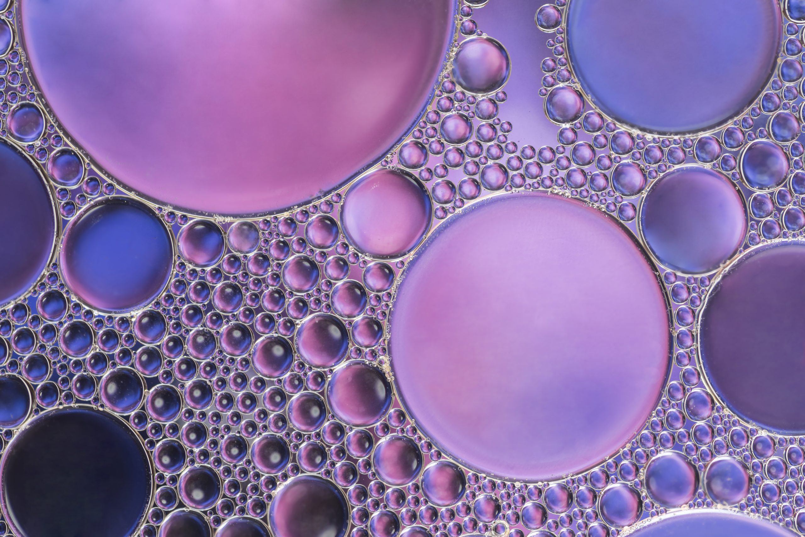 Blood Marrow Transplant Recovery Timeline