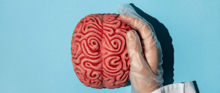 descarga 2025 09 24T104420.426 LIV Hospital