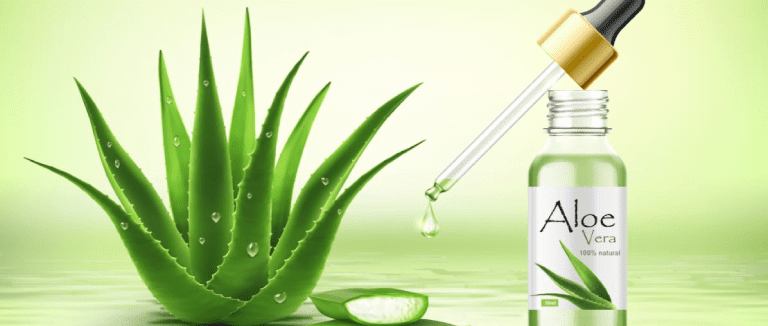 Amazing Benefits of Aloe Vera 3 Aloe vera
