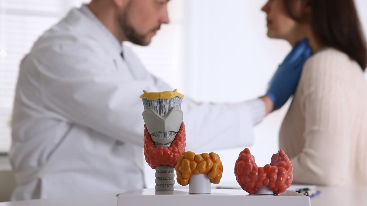 Endocrinology and Metabolism