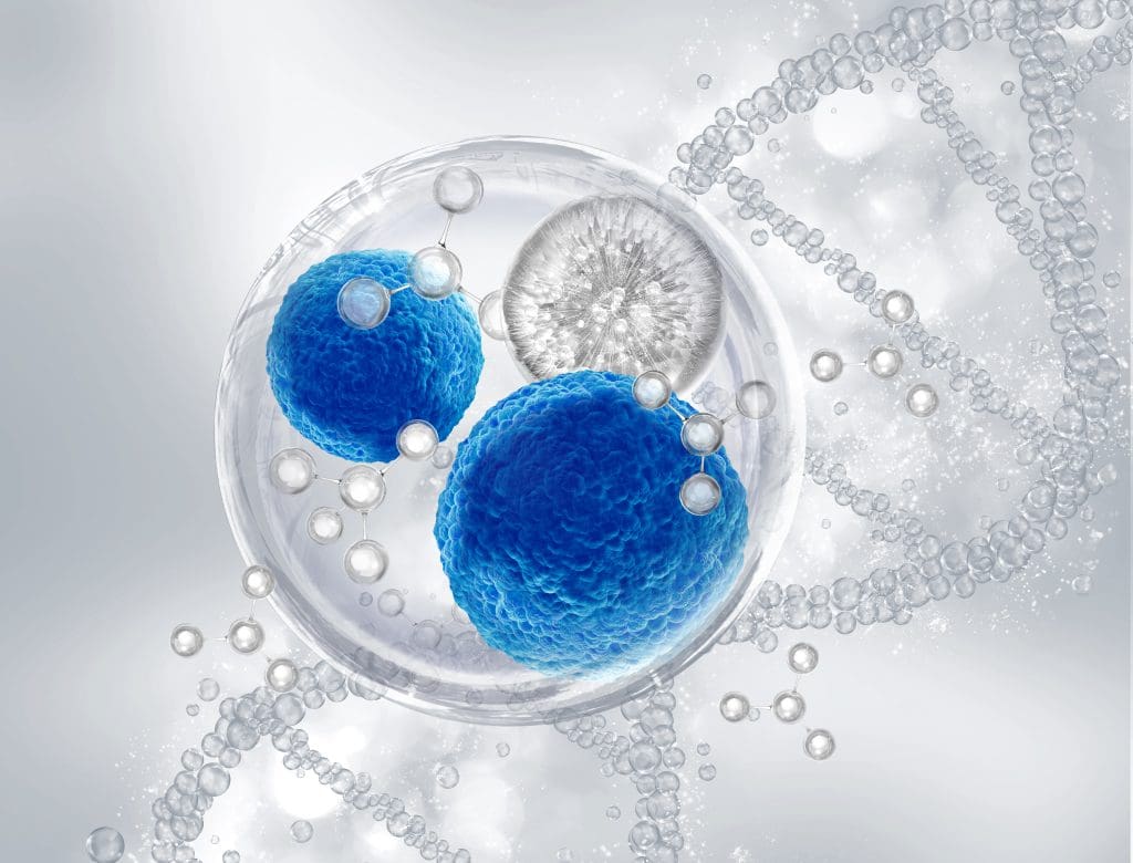 fasting for cell repair