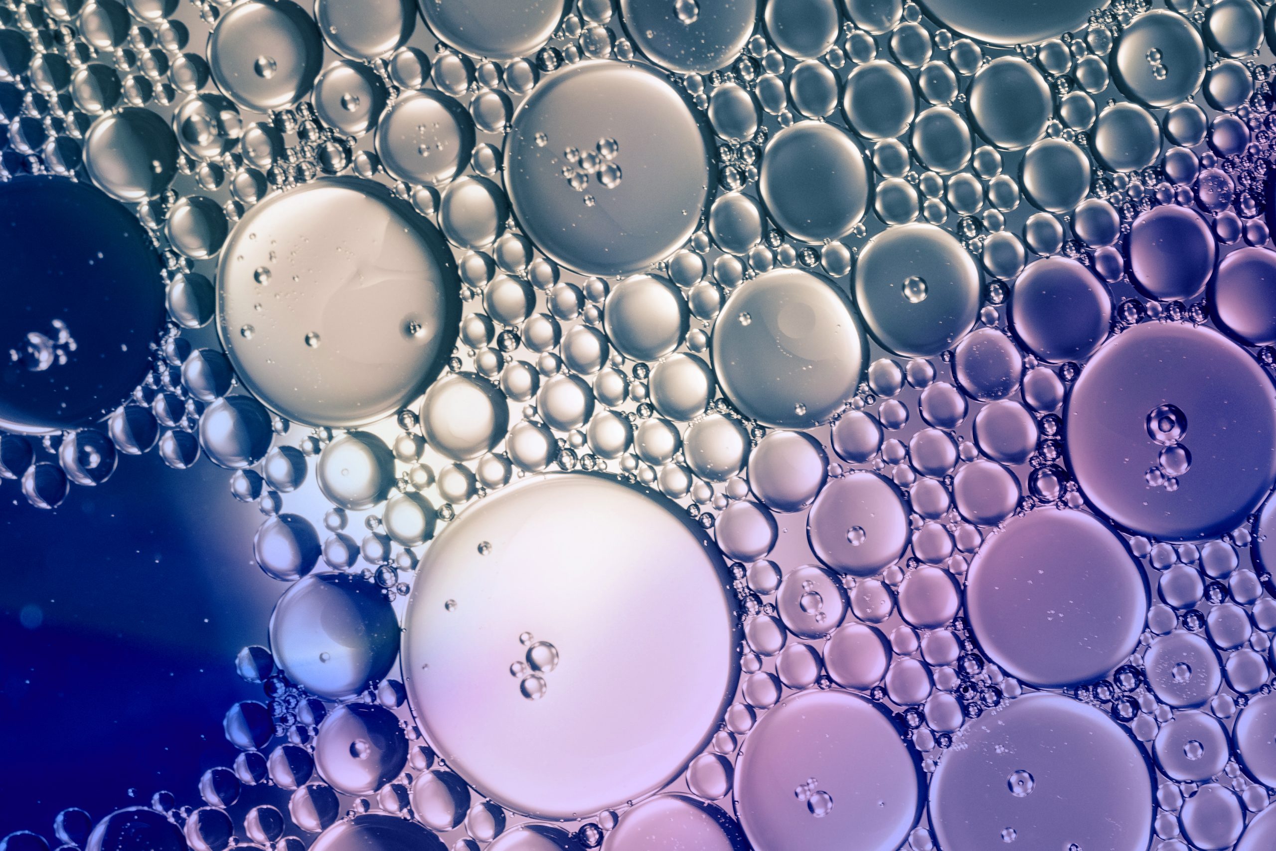 induced pluripotent stem cell