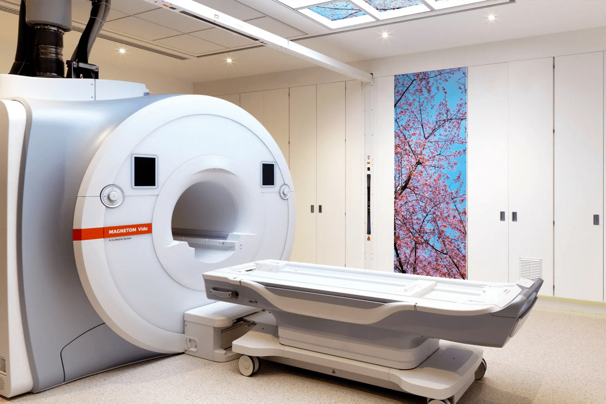 PET Scan Cancer Staging: Accurate Assessment of Tumor Spread and Size