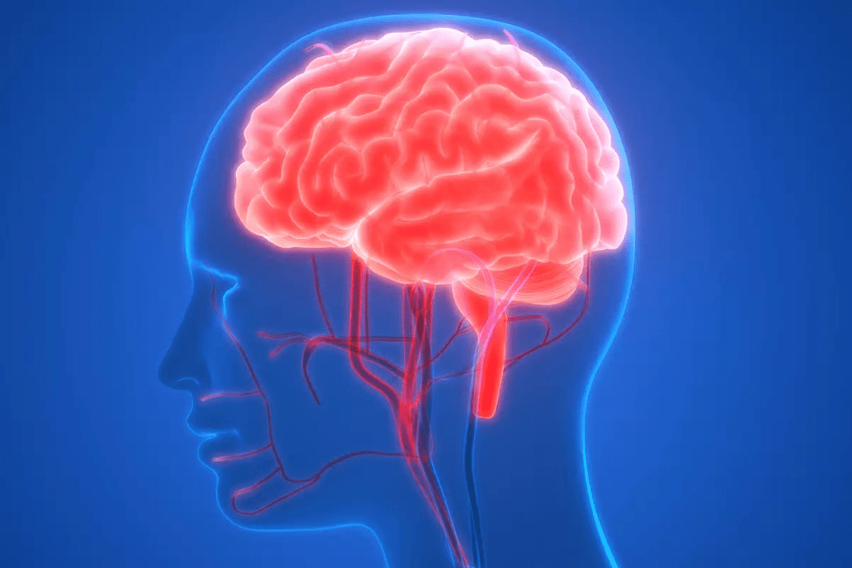 Brain Blood Flow: Powerful Insights from SPECT Imaging