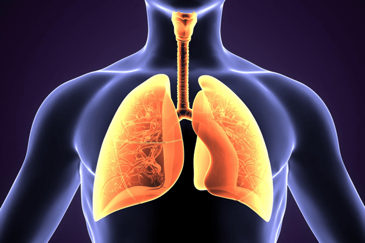 Vital: Why Doctor Order PET Scan Lungs