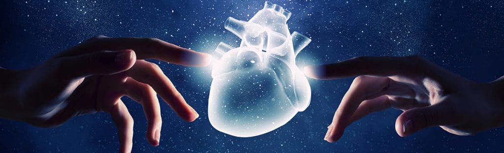 Bloodless Heart Surgery 1 image 139 LIV Hospital