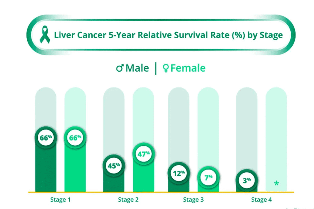 3 Important Statistics on Liver Cancer Survival Rate and Tumor Death Risk 4 Liver Cancer Survival Rate and Tumor Death Risk Explained