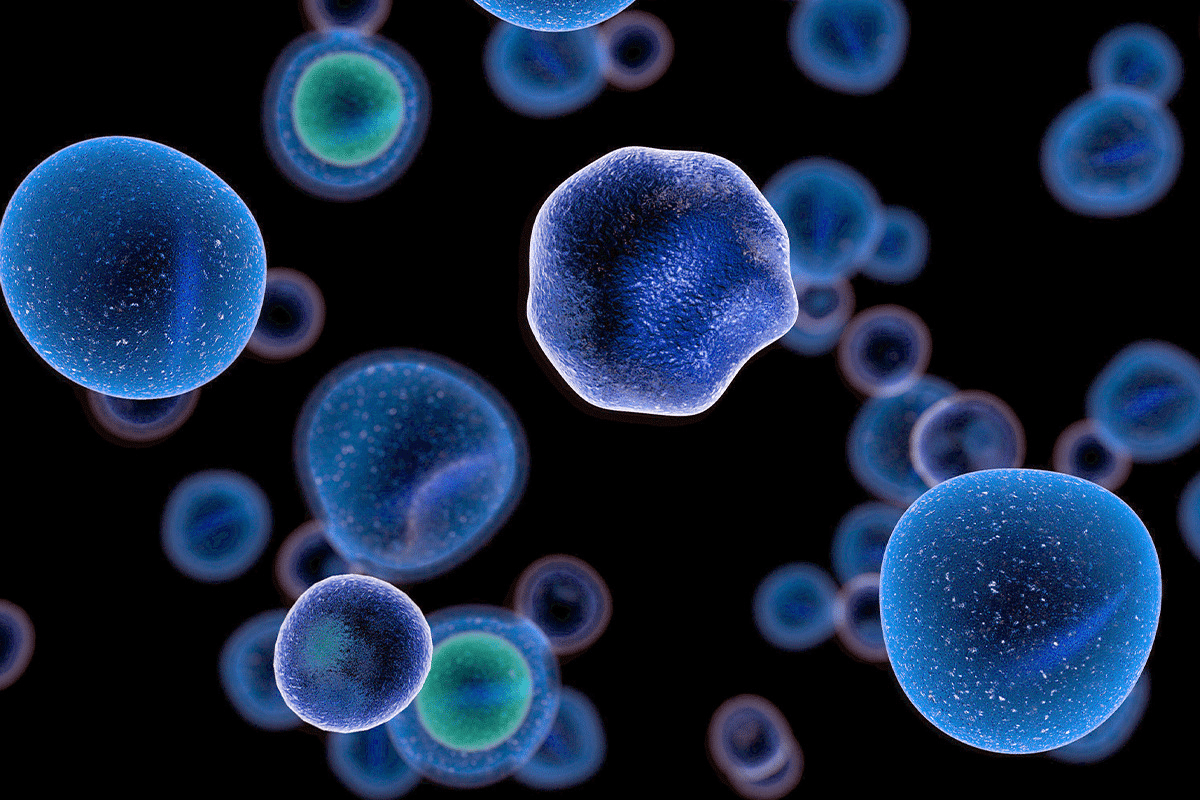 The First Baby That Had Gene Therapy Makes infant news Globally