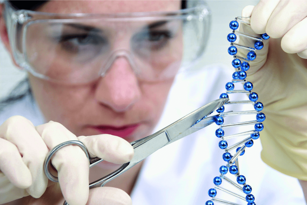 The Safety Profile of gene Therapy: Is It 100% Risk-Free? 3 The Safety Profile of gene Therapy: Is It 100% Risk-Free?