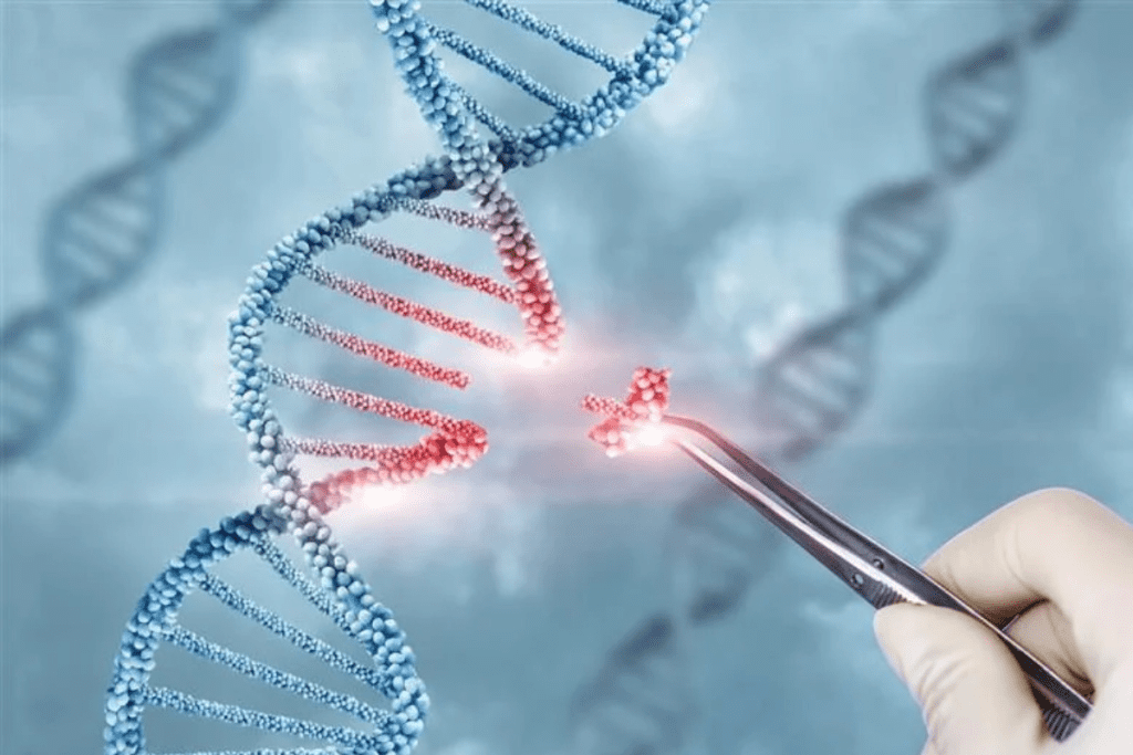 The Safety Profile of gene Therapy: Is It 100% Risk-Free? 1 The Safety Profile of gene Therapy: Is It 100% Risk-Free?