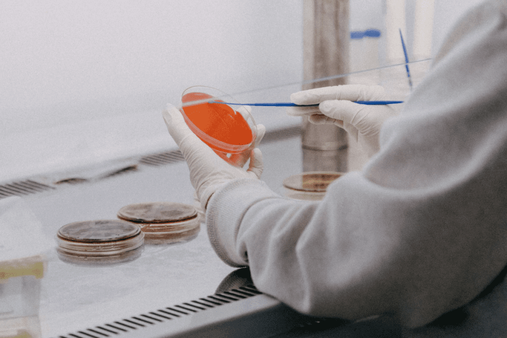 Extending Life: The Best Link Between Gene Therapy and reverse aging in mice 2 Extending Life: The Link Between Gene Therapy and reverse aging in mice