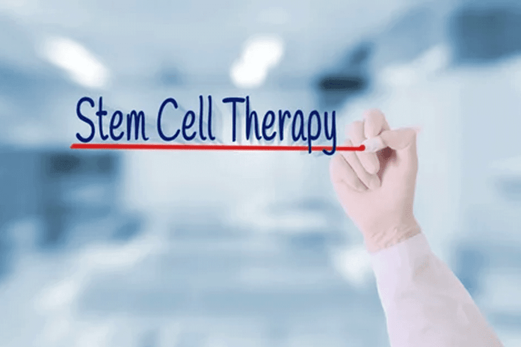 7 Essential Stem Cell Foods to Speed Your Recovery After Therapy 1 Stem Cell Food: What to Eat After Stem Cell Therapy