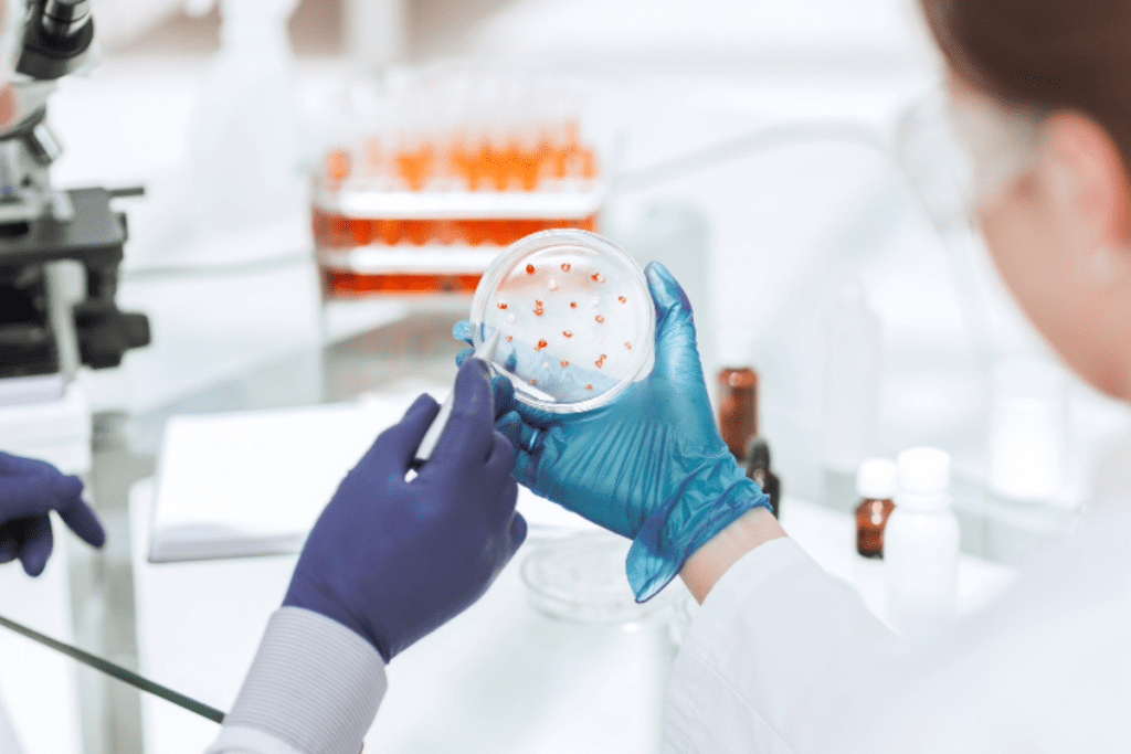 4 Key Sources: Where Do Stem Cells Come From?