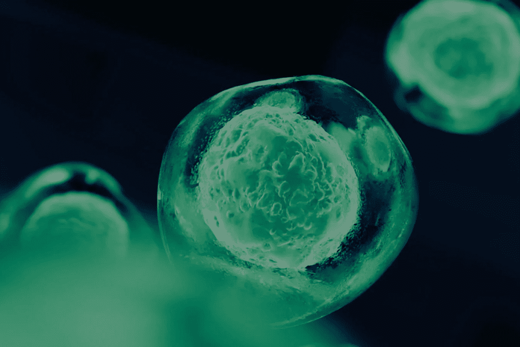 Characteristics and Importance of Multipotent Stem Cells 1 Characteristics and Importance of Multipotent Stem Cells