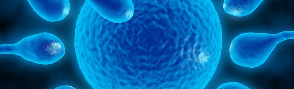 Andrology Laboratory 1 image 273 LIV Hospital