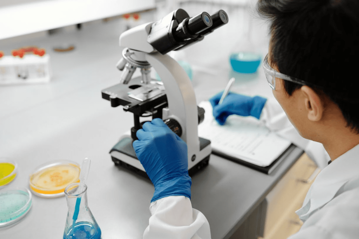 Totipotent Cells: The Most Potent Stem Cells