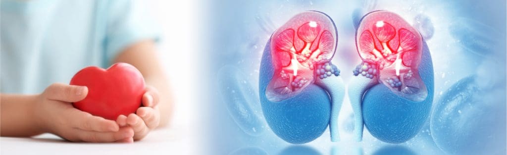 image 299 LIV Hospital