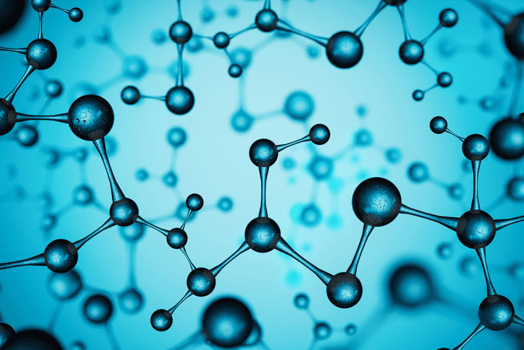 Multipotent Stem Cell: Sources and Functions 1 Multipotent Stem Cell: Sources and Functions