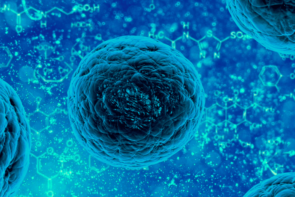 Stem Cell Definition: What You Need to Know