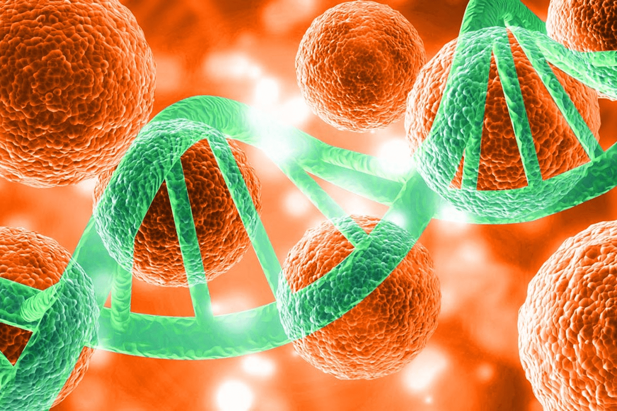 Pluripotent Stem Cells: Definition and Key Characteristics