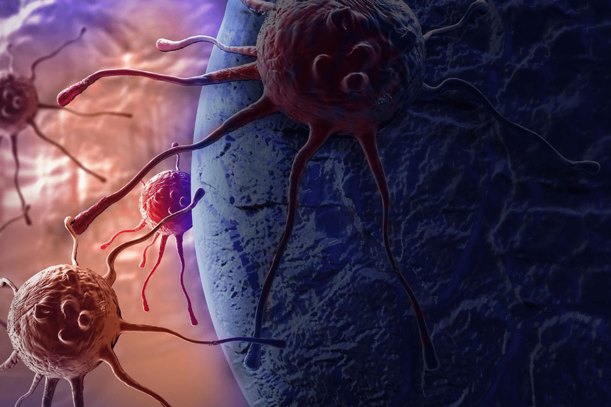 Mesenchymal Stem Cells Treatment: Sources and Benefits