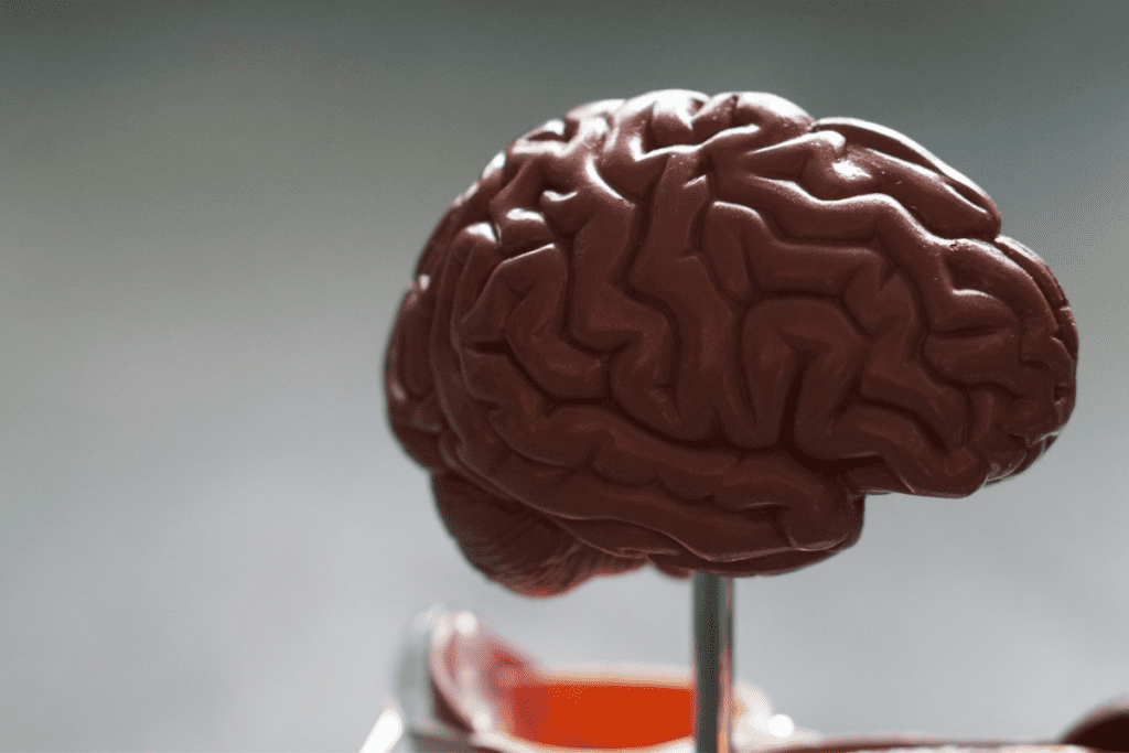 Turmeric Brain Benefits: Boosting Stem Cells and Cognitive Health