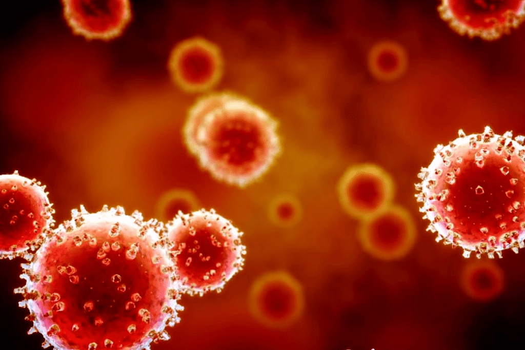 Mesenchymal Stem Cells Therapy Timeline: How Long Until You See Results? 2 Mesenchymal Stem Cells Therapy Timeline: How Long Until You See Results?