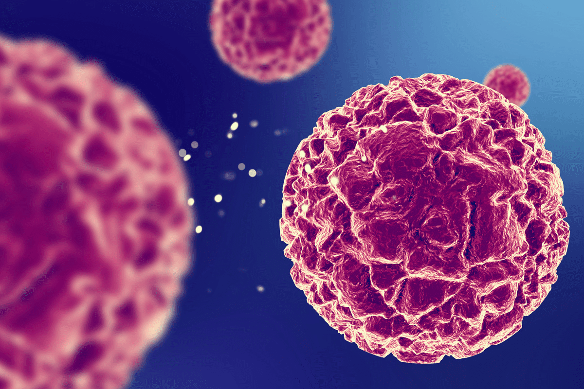 Pluripotent vs Multipotent Stem Cells: Key Differences