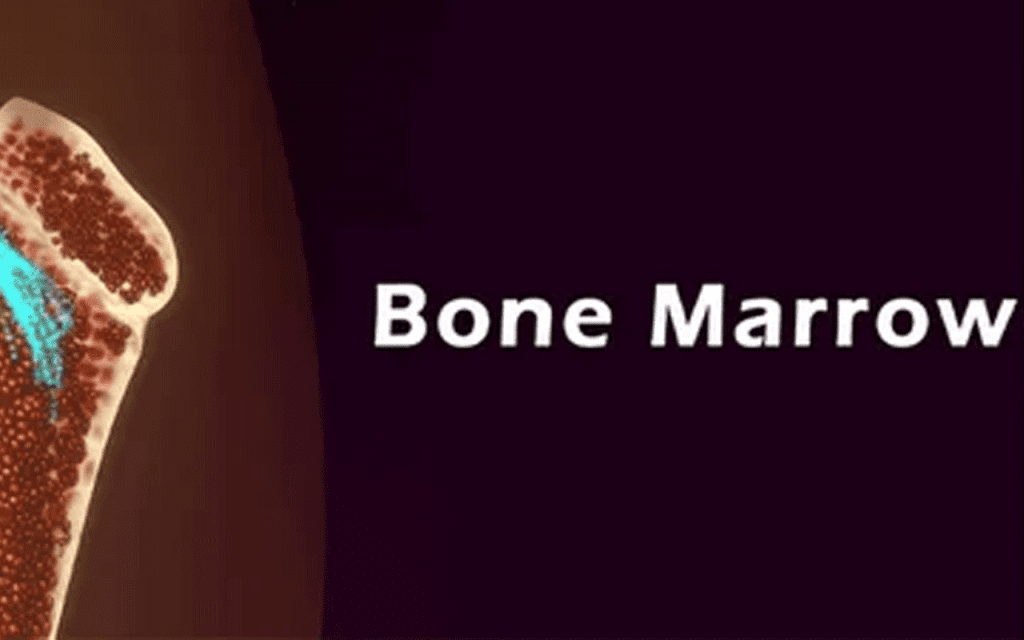 Stem Cell Transplant Cost: Shocking Facts & Risks Revealed