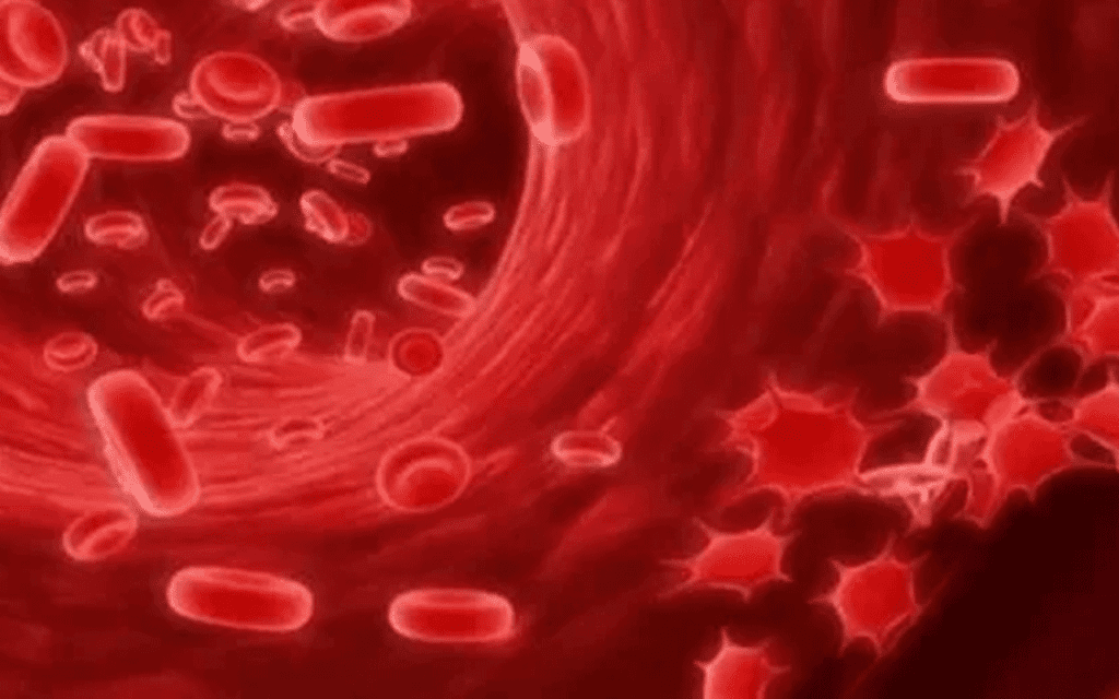 After Bone Marrow Transplant Rules You Must Follow