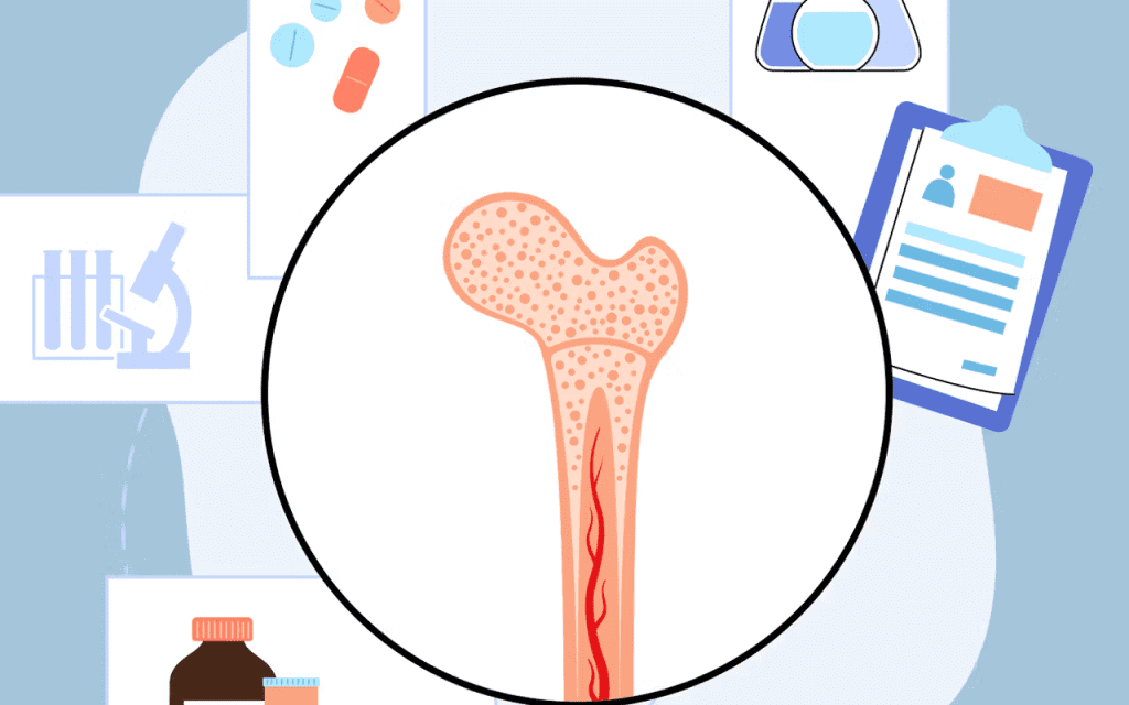 Human Bone Marrow Regrowth: Amazing Healing Power Explained 3 Human Bone Marrow Regrowth: Amazing Healing Power Explained