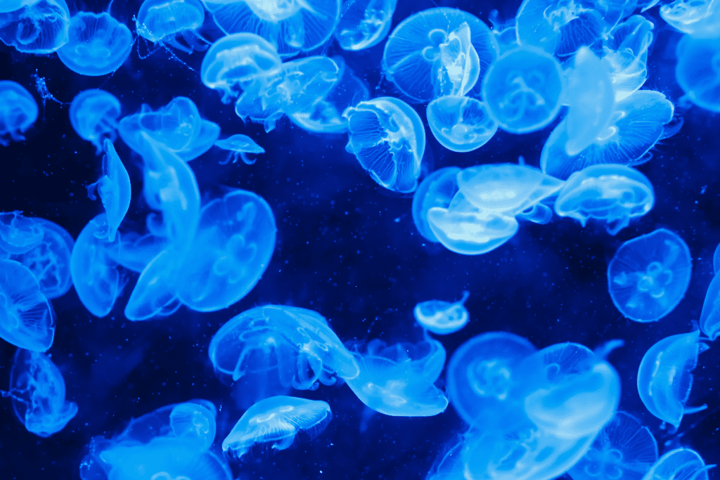 7 Amazing Facts About Totipotent Stem Cells in Plants