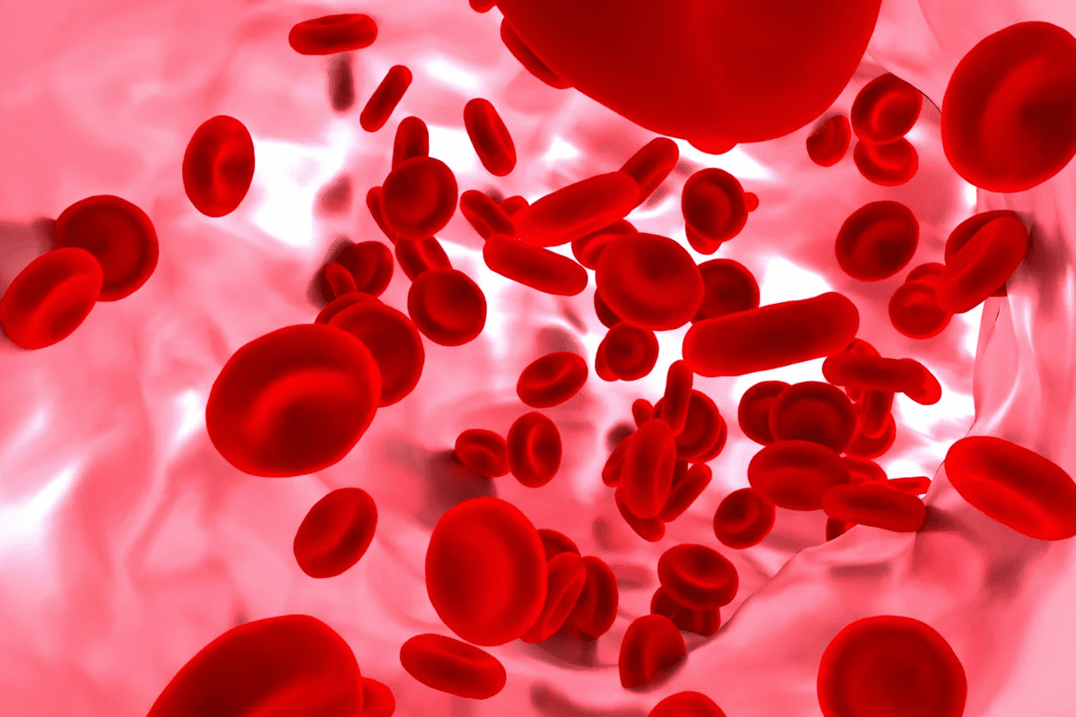 Multiple Myeloma Symptoms: Positive Curability Hope