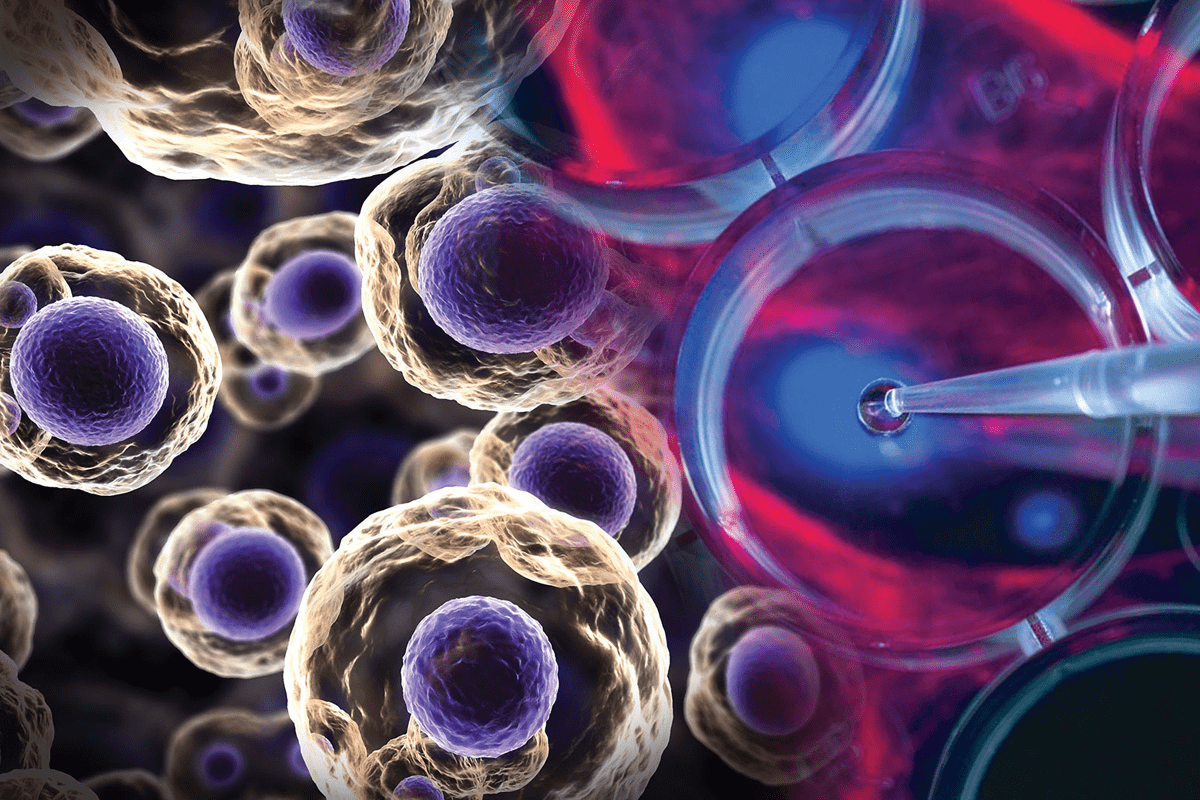 Mesenchymal Stem Cells: Sources, Benefits, and Uses