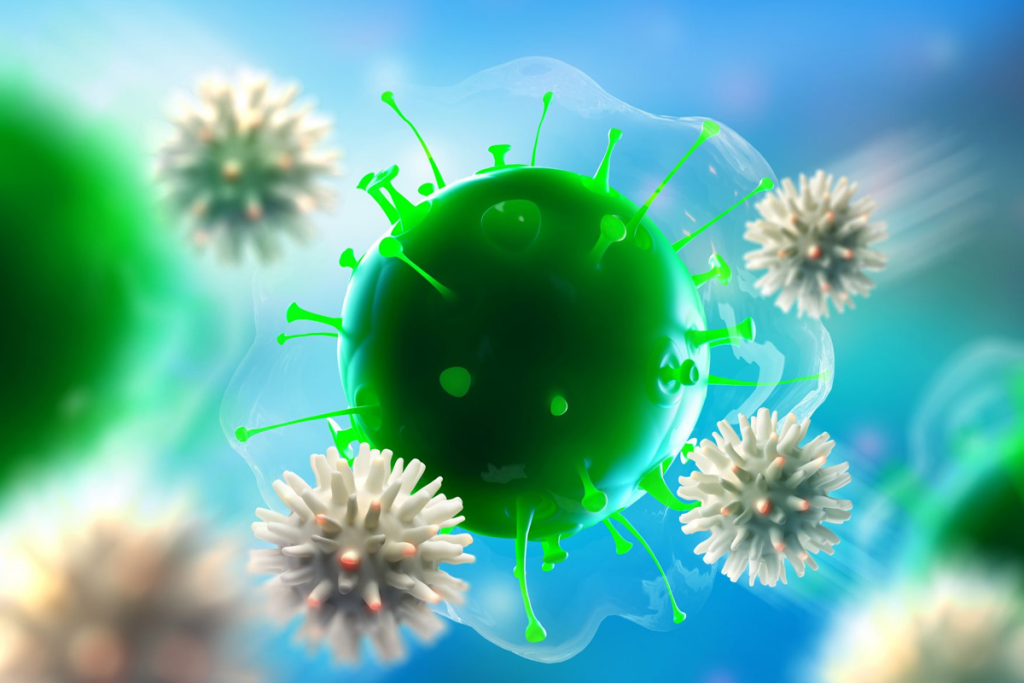 Bone Marrow MSCs: Types, Properties, and Clinical Significance