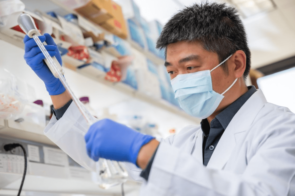 Powerful Facts About Does Stem Cell Transplant Change Your DNA?