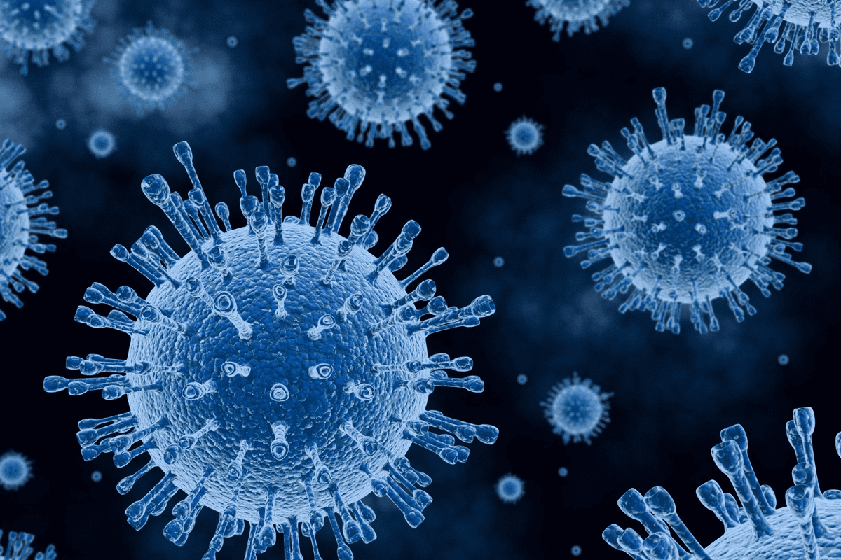 Stem Cells and Types: Powerful Guide to Main Classes