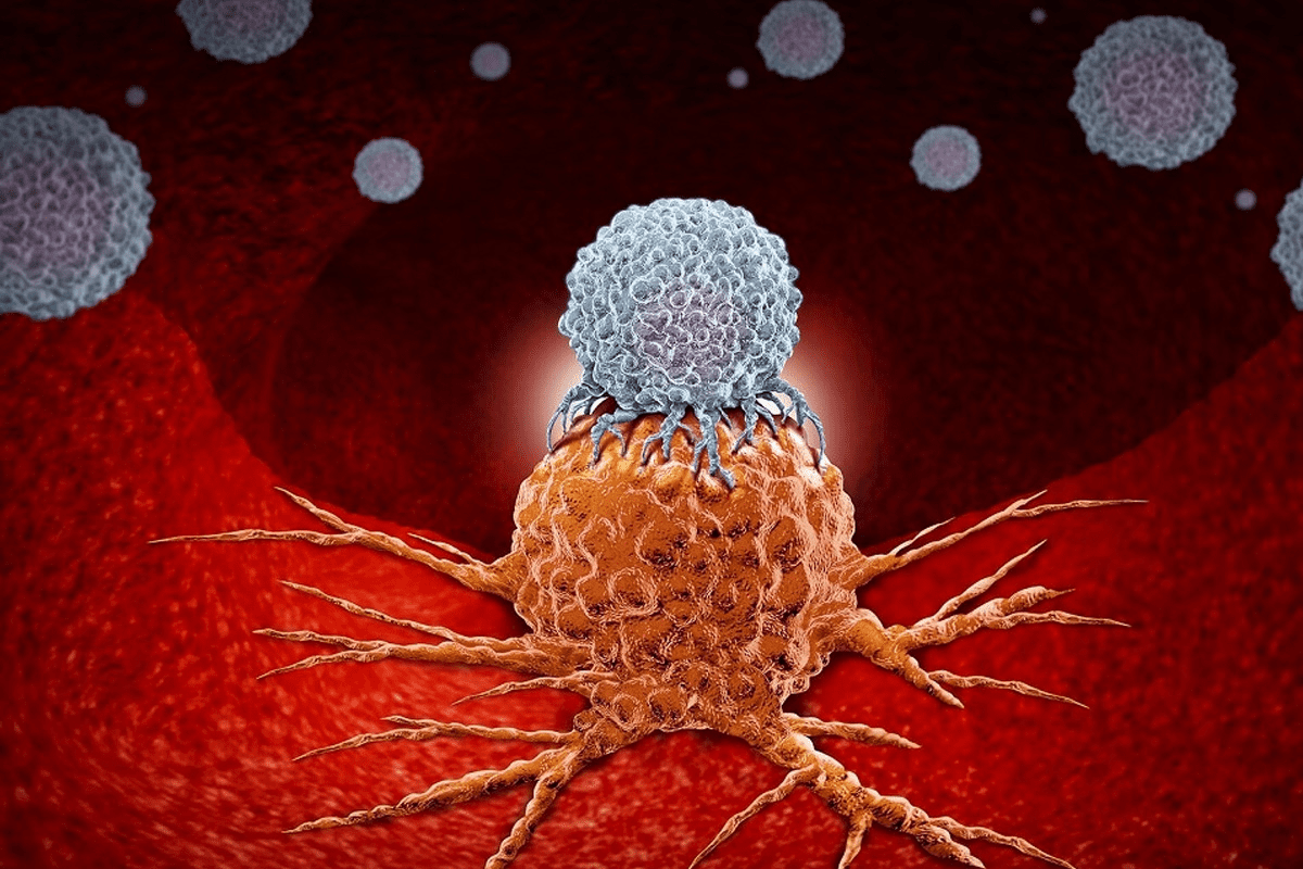 Mesenchymal Breakthrough: Unlocking Powerful Healing Potential