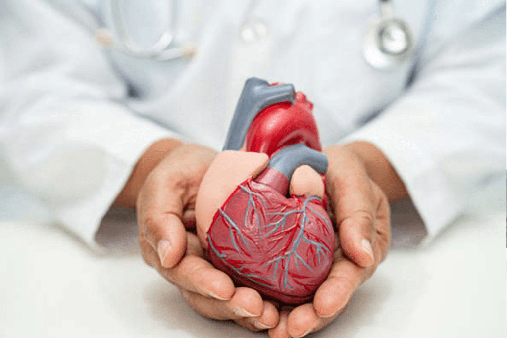 What to Expect During a Nuclear Stress Test for Heart Health Evaluation? 2 image 668 LIV Hospital