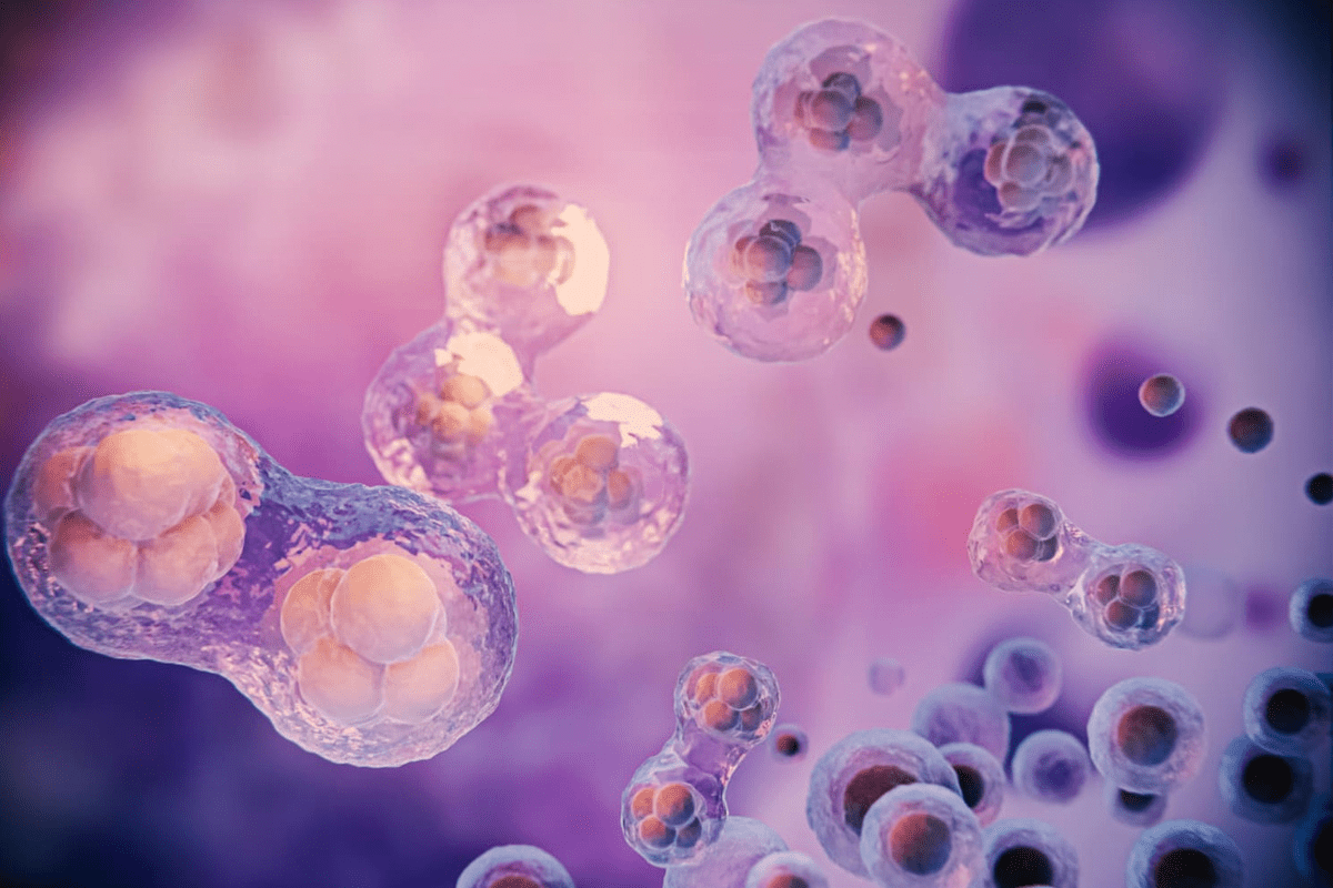 Stimulate Mesenchymal Stem Cells: Powerful Methods for Positive Regeneration