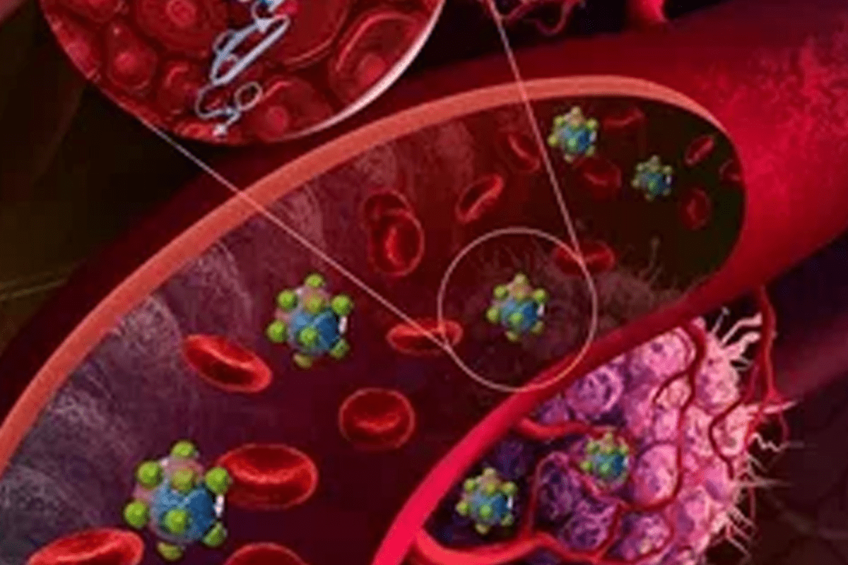 Blood Cell Formation: Powerful Process with Positive Health Impact