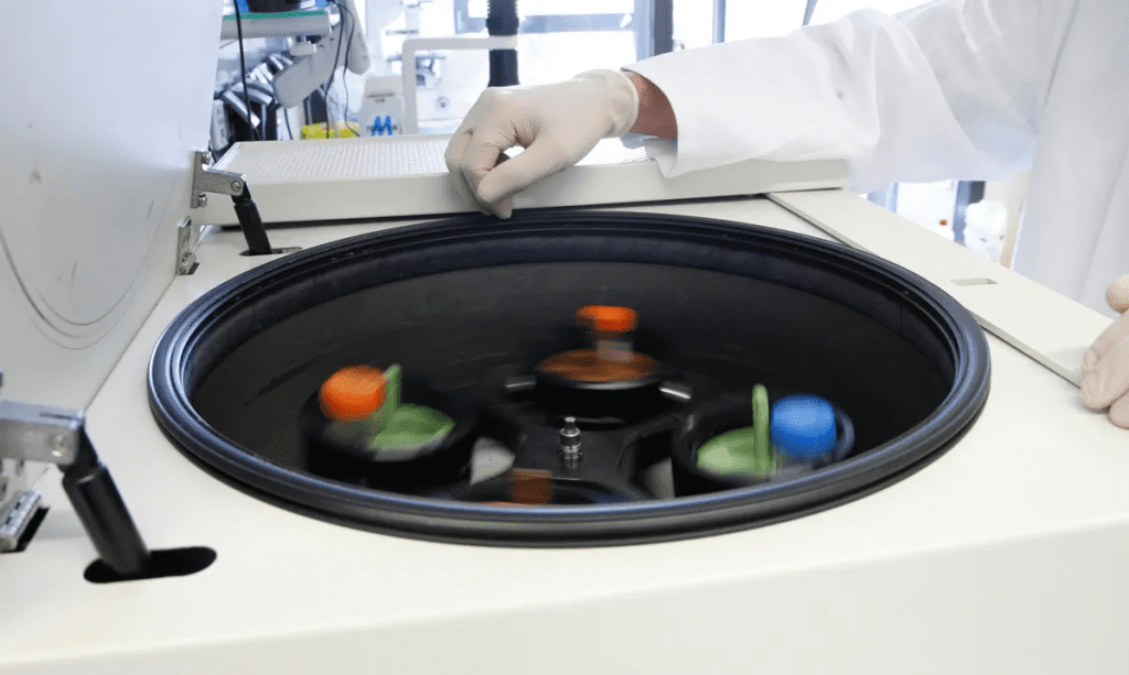 Role of a Caregiver: Powerful Support for Positive Patient Recovery